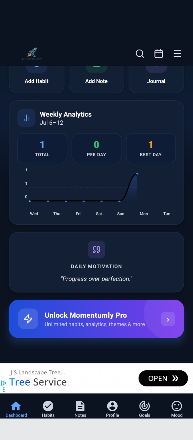 Momentumly analytics investor preview